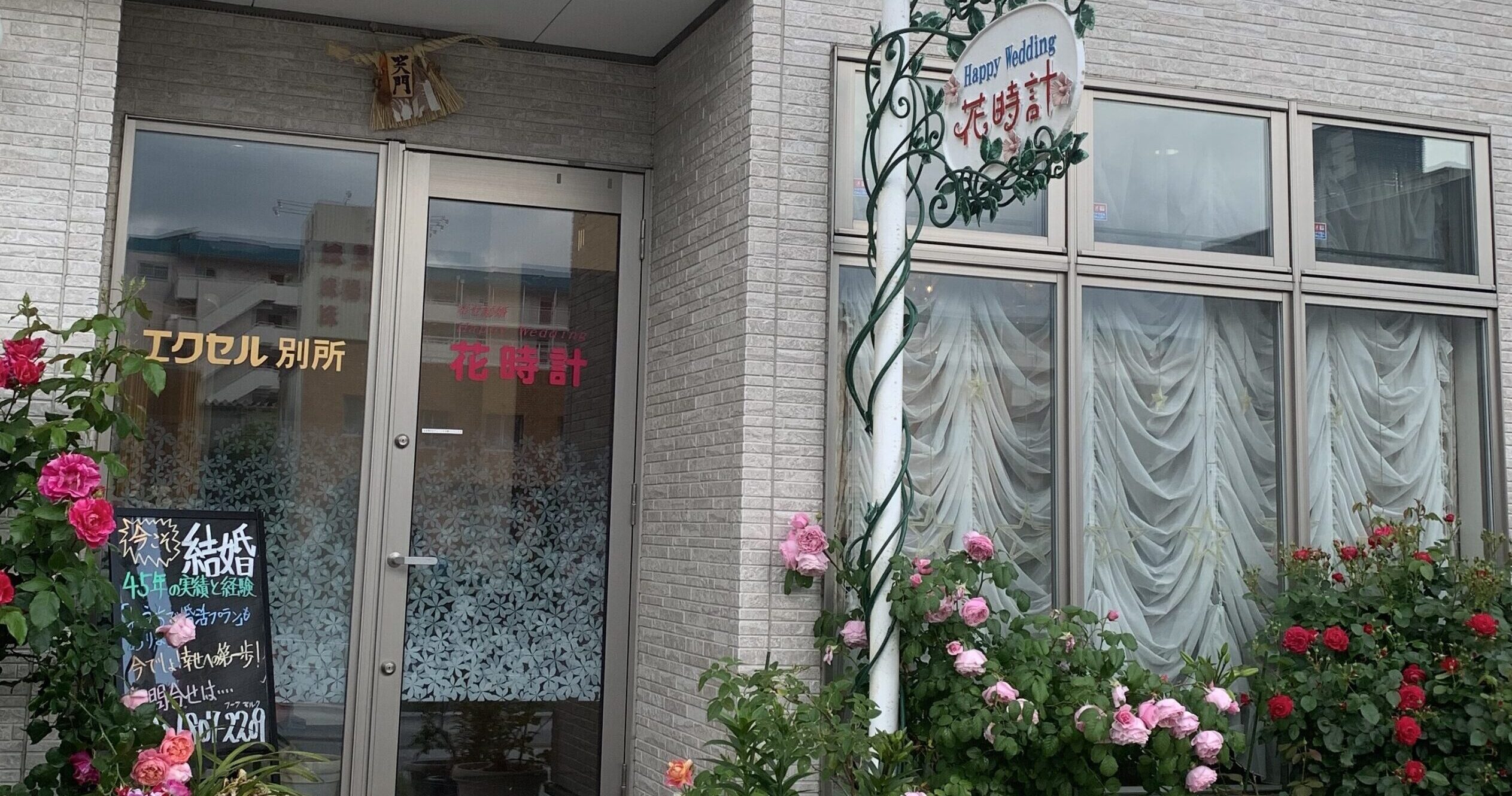 別所 久美子・友美子さんの写真